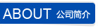 公司簡(jiǎn)介